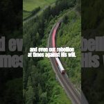 Don’t waste what you’ve been through