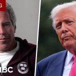 Messages Obtained By Congress Appear To Show That Donald Trump Knew What Convicted Sex Offender Jeffrey Epstein Was Doing, And Possible Blackmail