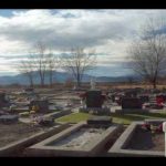 This Day, November 20, In Jewish History by Mitchell A and Deb Levin Z"L