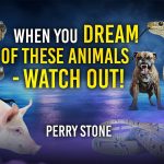 When You Dream Of These Animals   Watch Out