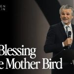 The Blessing of the Mother Bird | Jentezen Franklin