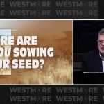 Where Are You Sowing Your Seed?